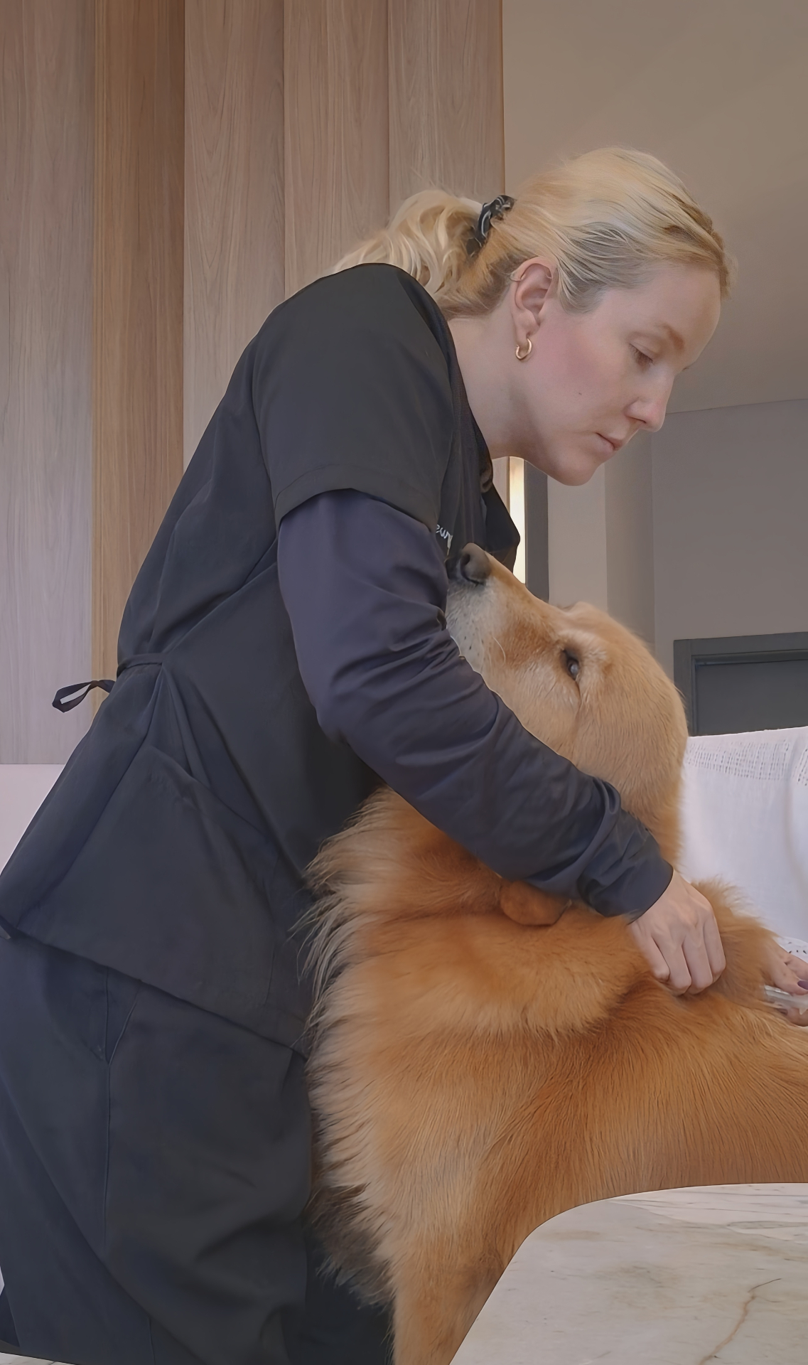 Dra. Aline Petrykowski, veterinária domiciliar em Balneário Camboriú, em atendimento com cão